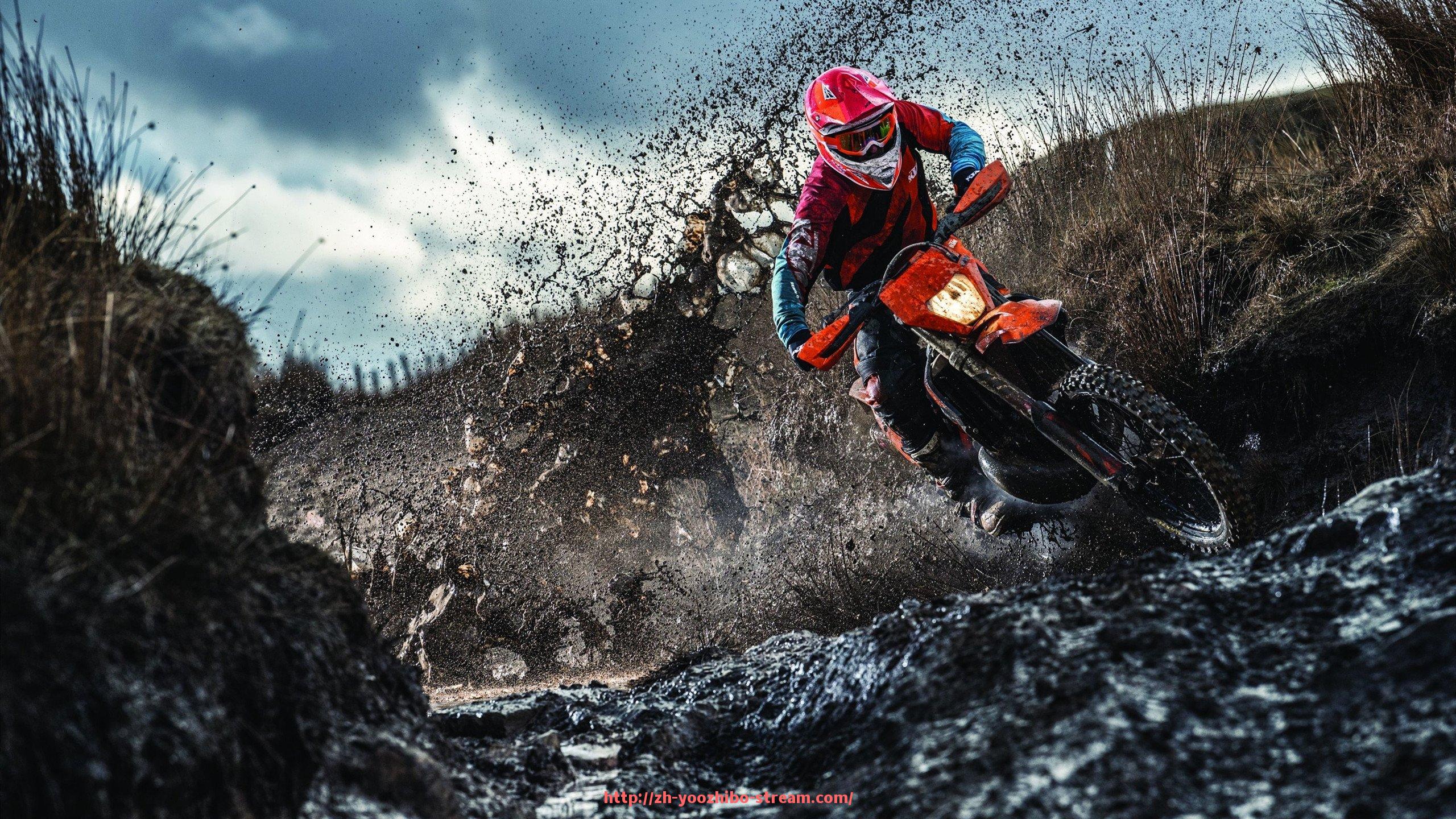 优直播-法甲观众统计数据及观赛行为分析报告