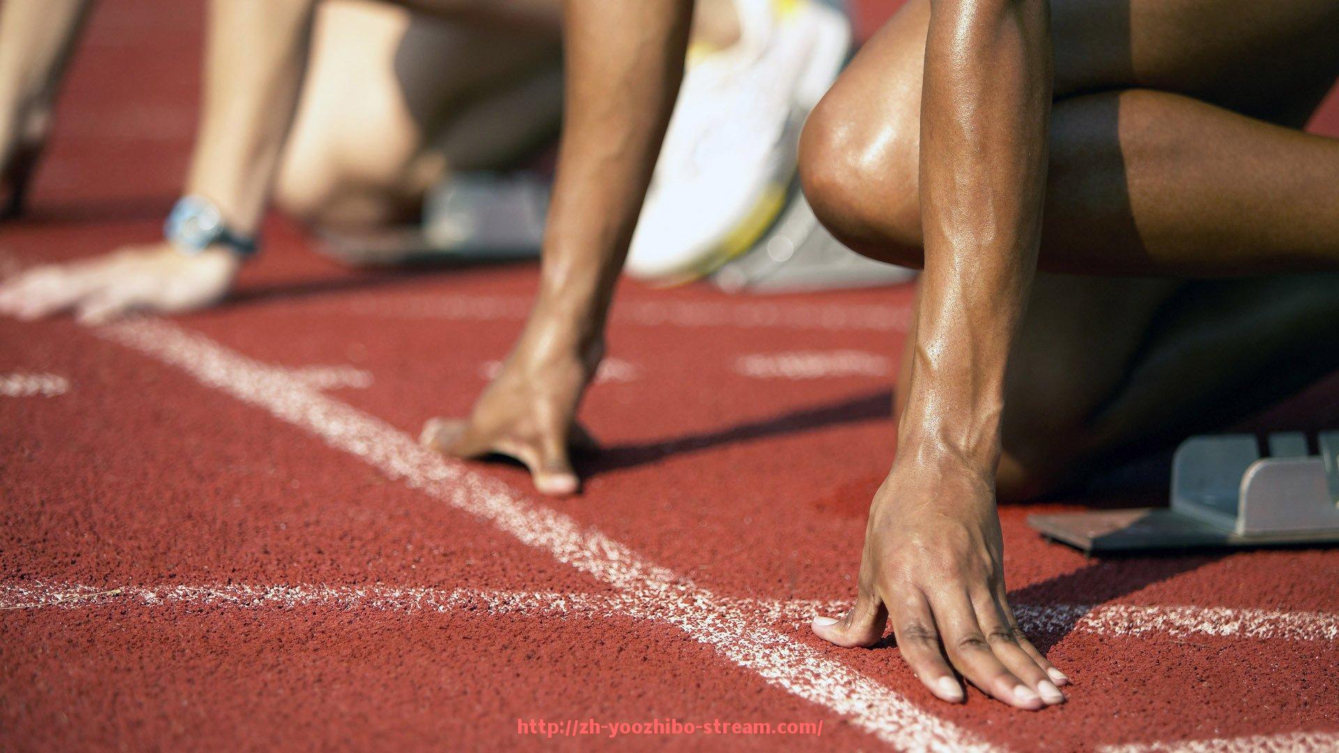 优直播-意甲球队在欧冠联赛中的具体成绩与晋级路径