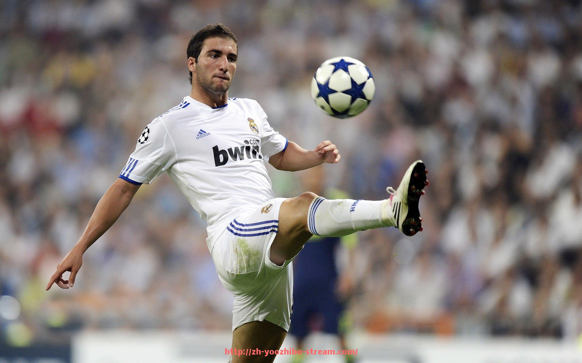 优直播-世俱杯球员训练护膝材料性能比较及品牌推荐